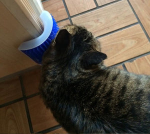 Cat Self-Grooming Brush